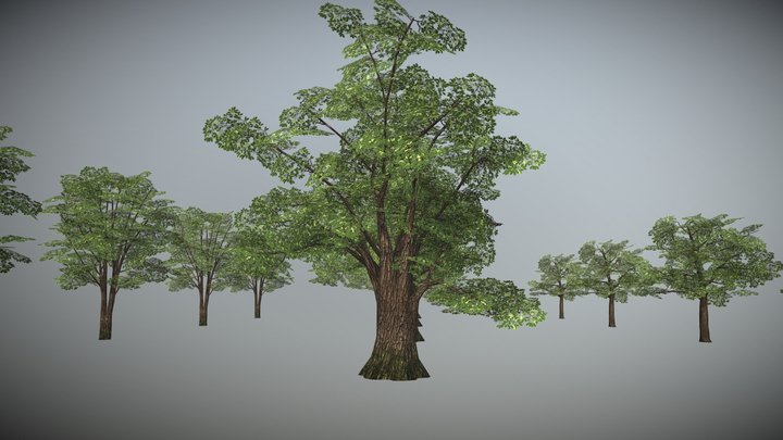 forest - A 3D model collection by Gilson (@GilsonP) - Sketchfab