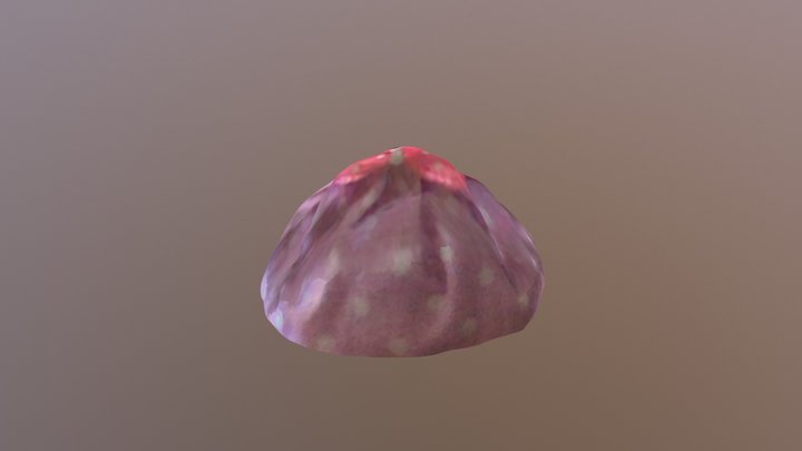 New Qlone 3D Model