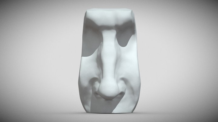 Nose study 3D Model
