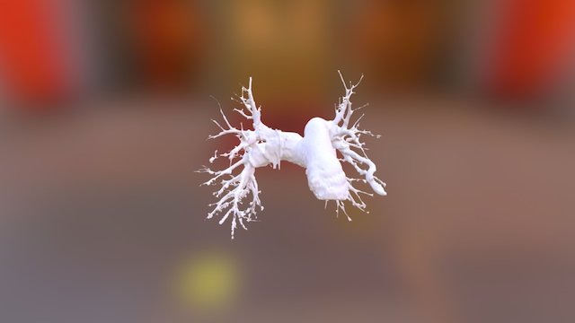 Artery 3D Model