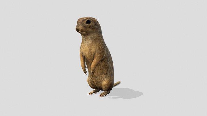 Ürge (Atomenergetikai Múzeum) 3D Model