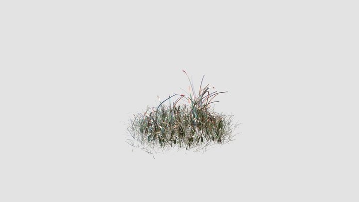 simple grass 3D Model