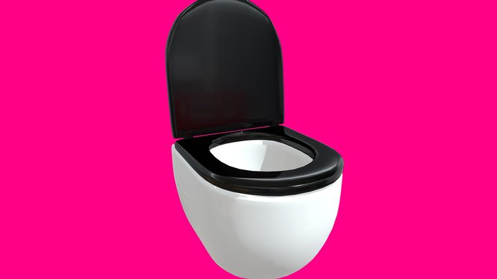 Modern Toilet 3D Model