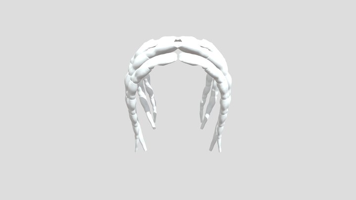 ASVP- Hair-v1-ZBR 3D Model