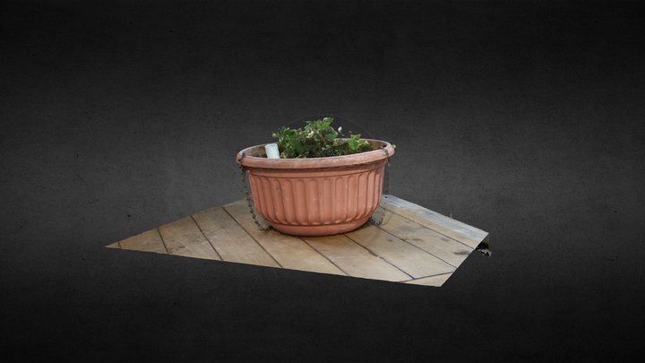 Flower Pot found in my garden 3D Model