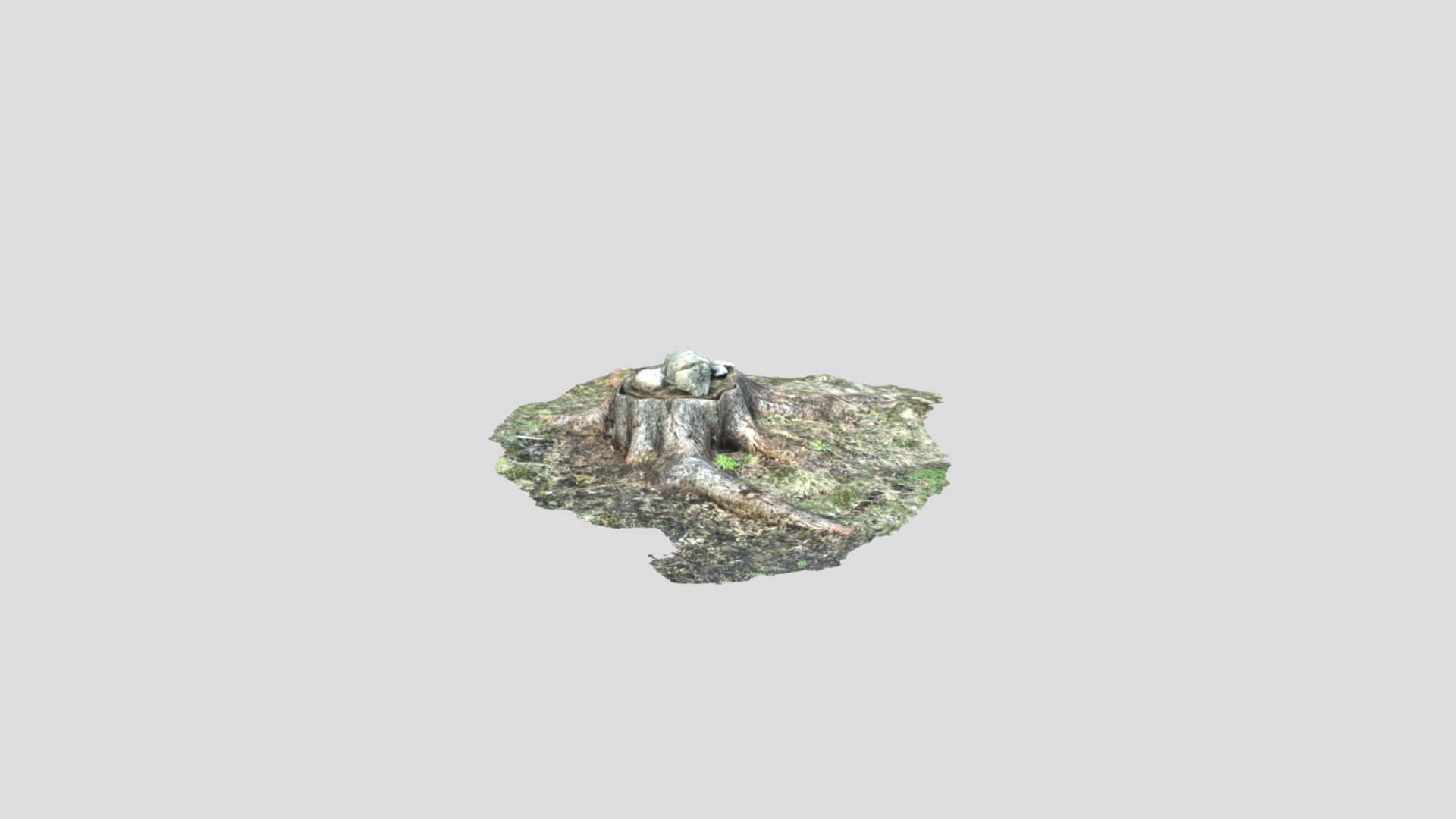 A stump