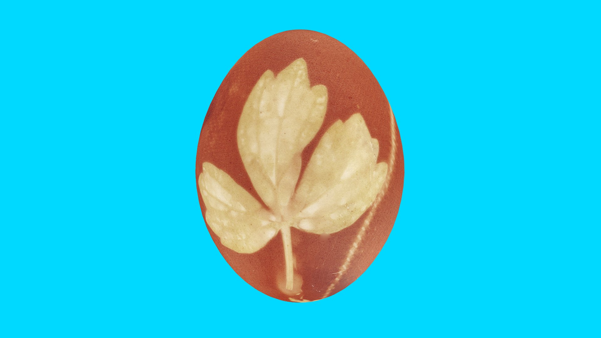 Painted Easter Egg