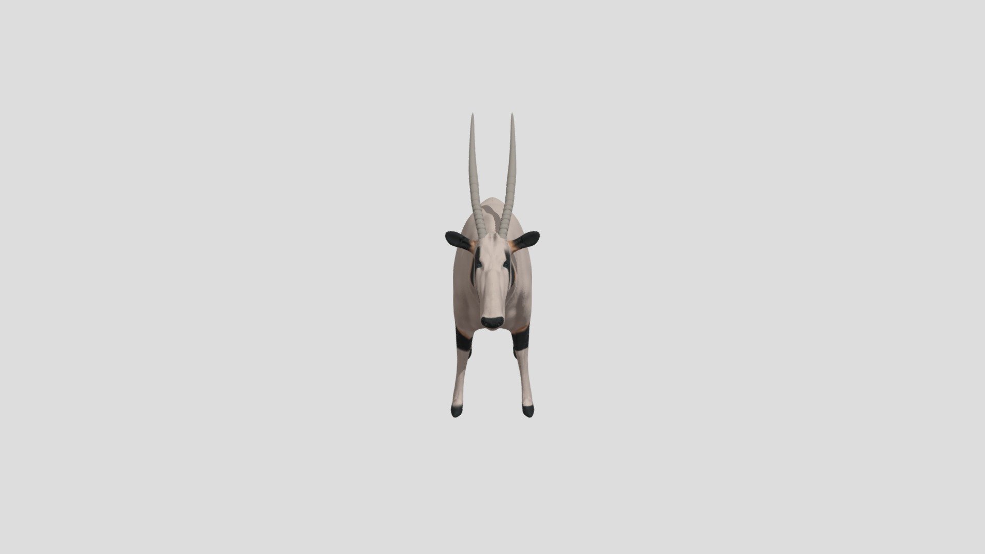 Animal : Oryx — Sketchfab embed 3D viewer