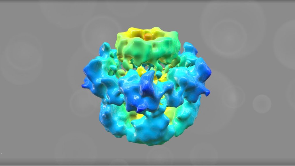EMD 3089 - 3D model by Interactive 3D Data (@proteinsimulation ...