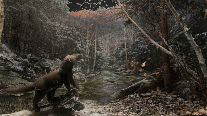 Fisher and Porcupine Diorama (Point Cloud) 3D Model