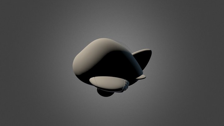 Standard 3D Model