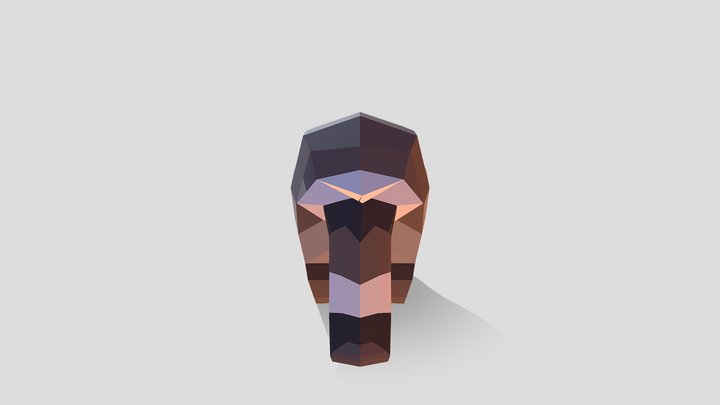Low Poly Racoon 3D Model