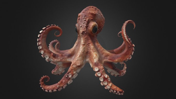 Octopus with Textured Reddish-Brown Skin – Modelo 3D gratuito STL