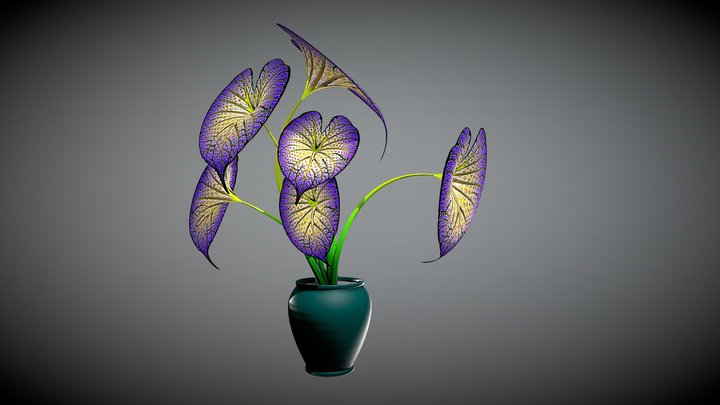 Plant