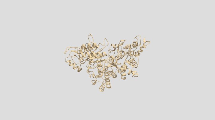 RNR 3D Model