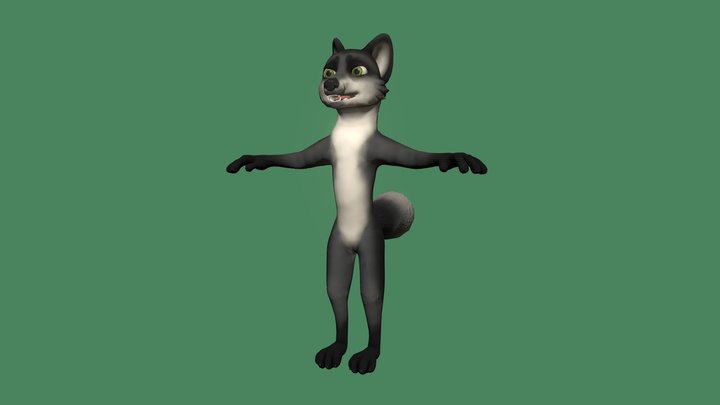 Silver fox 3D Model