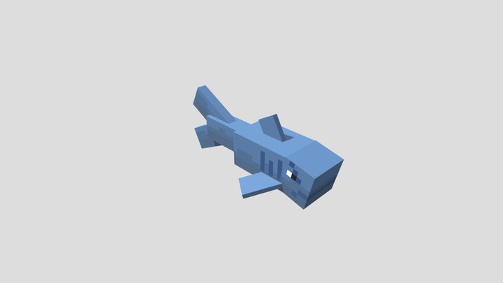 Shark 3D Model