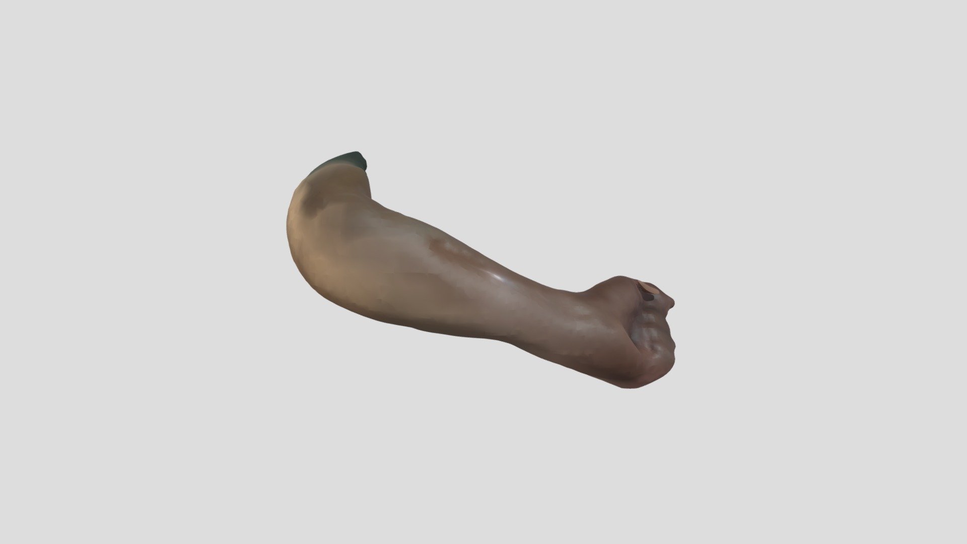 forearm - Download Free 3D model by silverbauerhannes [a6ee3cf] - Sketchfab