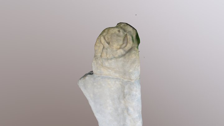 Planta_Pedis_Luna 3D Model