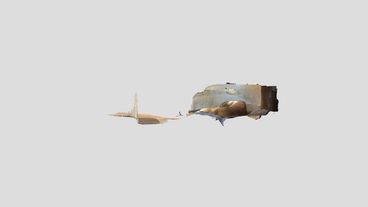 Sleeping dog 3D Model