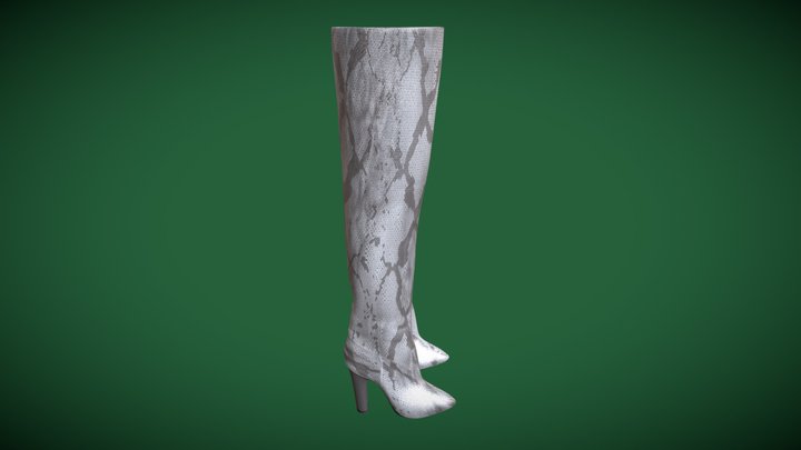 Snakeskin boots 3D Model