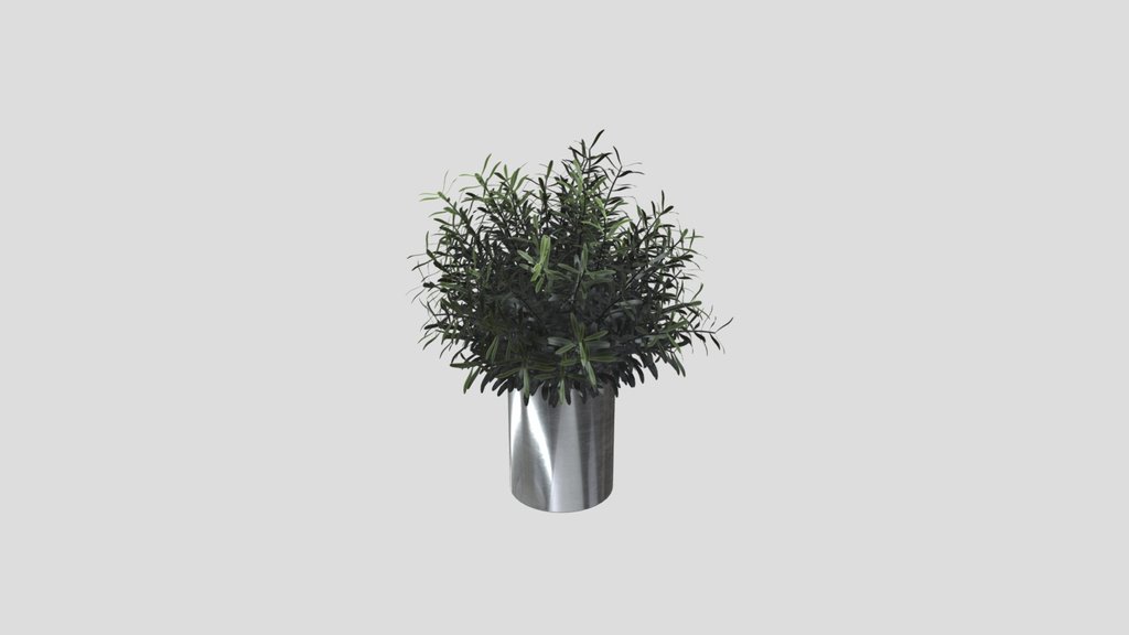 Potted Green Foliage Plant