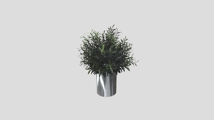 Potted Green Foliage Plant – Gratis 3D-model STL