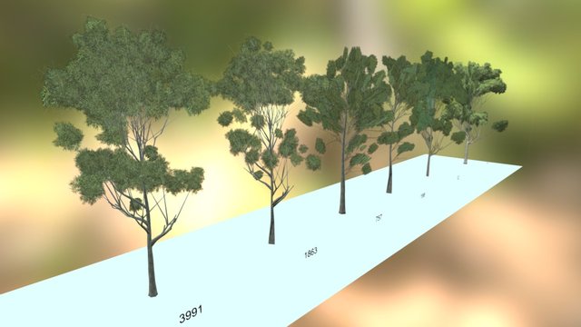 All 3D Model