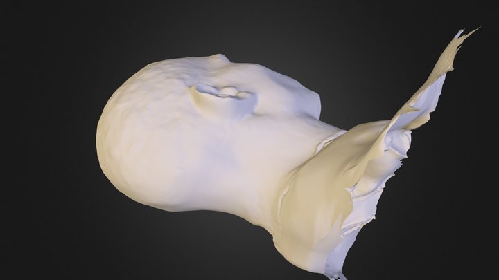 Calmar2 3D Model