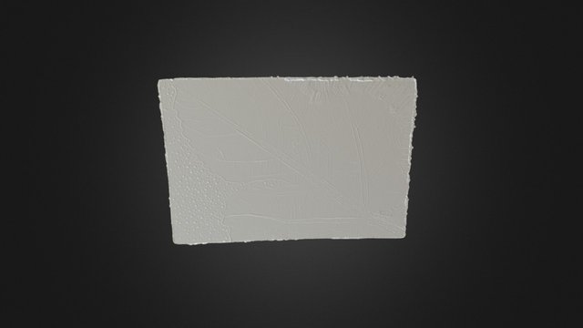 Wood Block Test 3D Model