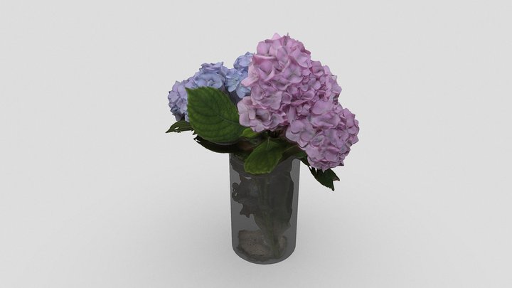 Hydrangea in Glass Vase 3D Model