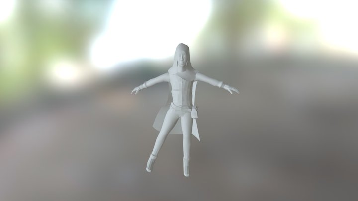 Character Skining 3D Model