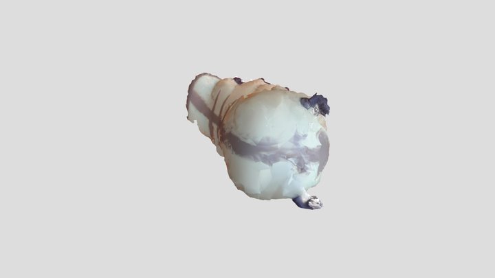 Appa_Model 3D Model