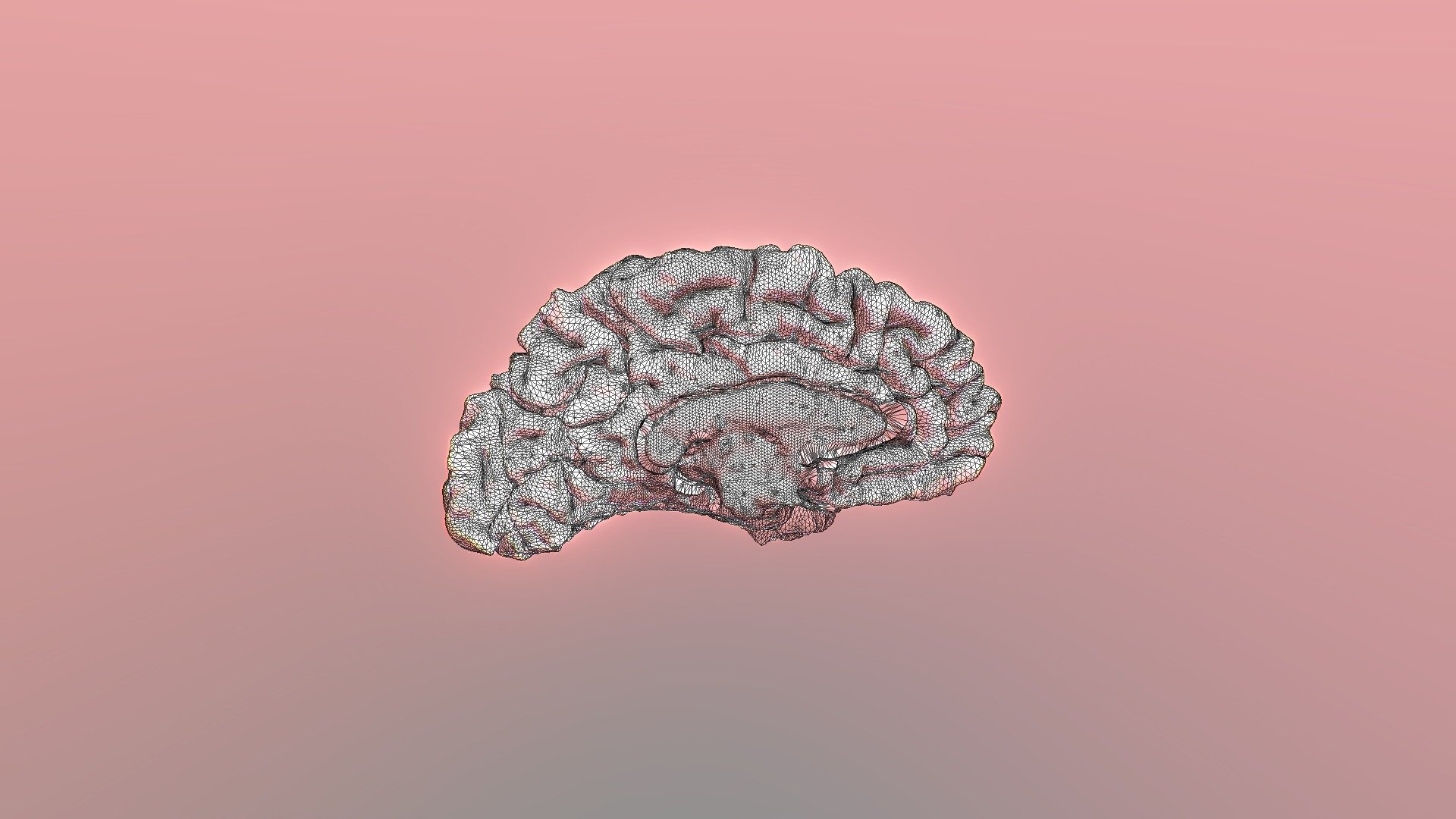 Brain Model - Download Free 3D model by kalitkap [a71d97b] - Sketchfab