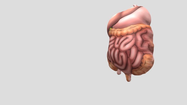 lusinur 3D Model