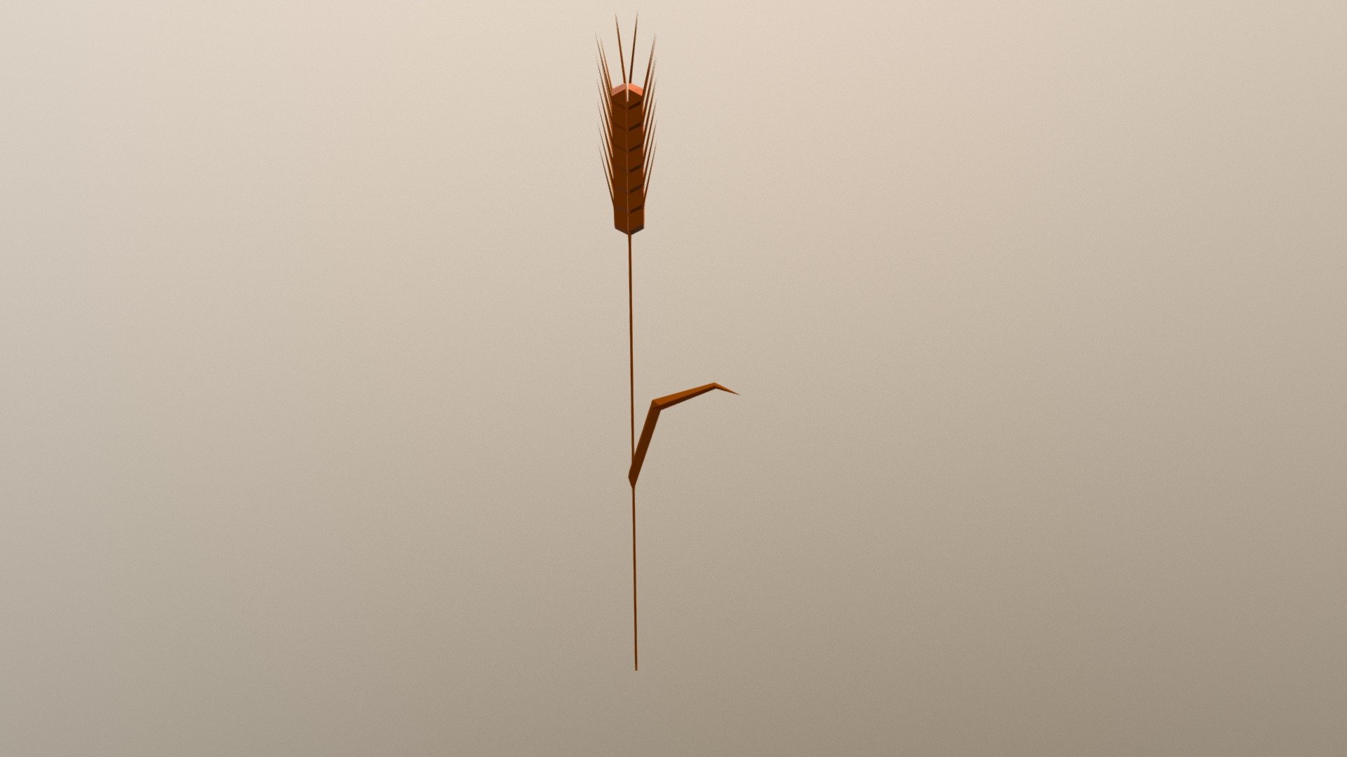 PLANTS : wheat
