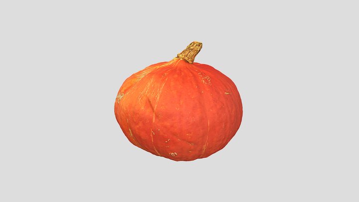 3D Scan - Pumpkin 1 3D Model