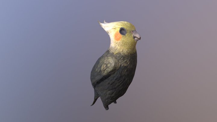 Birdy 3D Model