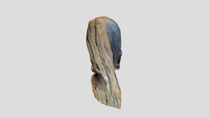 Female Head 2 3D Model