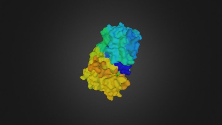4aa8_sequence colored 3D Model