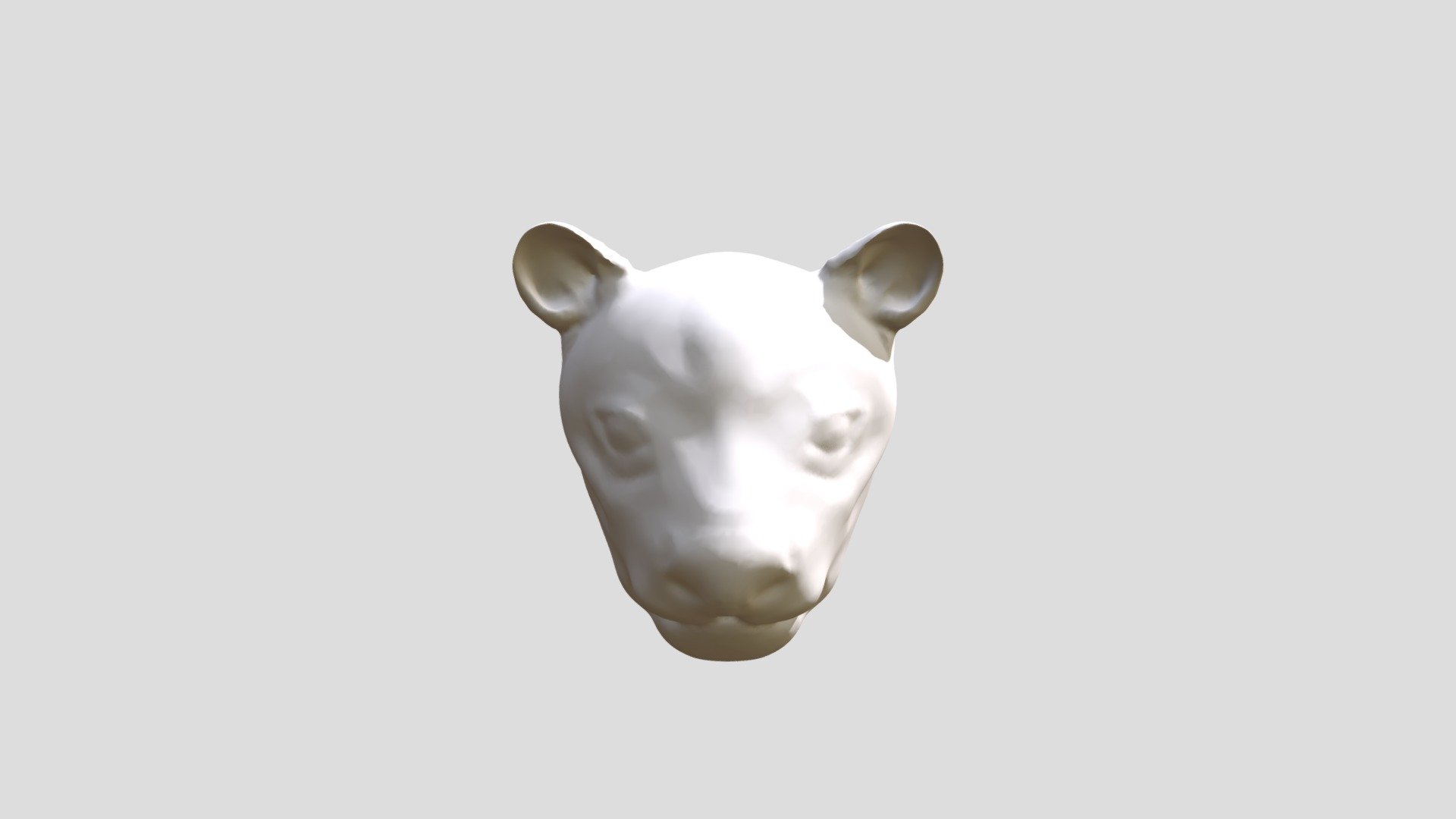 Lion Face