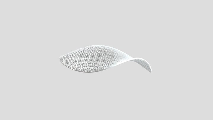 First approach to Blender 3D Model