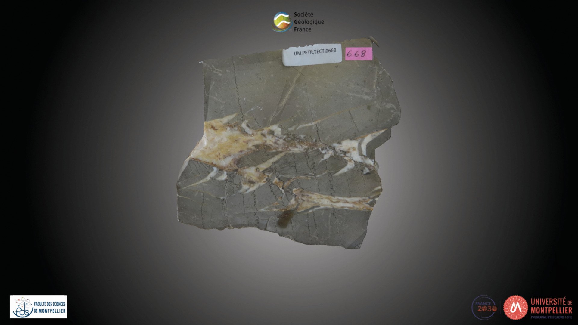 Roche - Calcaire à stylolites - Download Free 3D model by Société ...