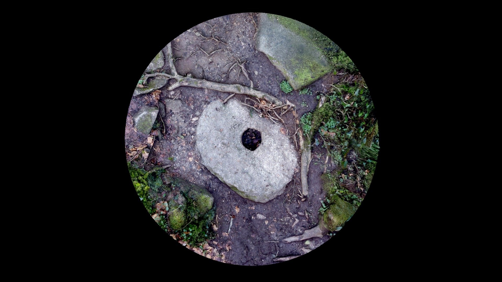 Bosahan Woods - Millstone