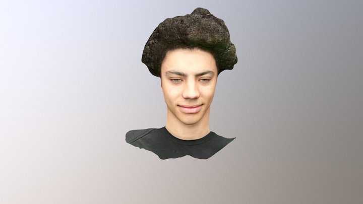 example_face 3D Model