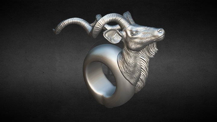 Kudu 3D Model