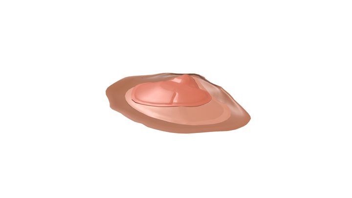 MoluscoBivalve 3D Model