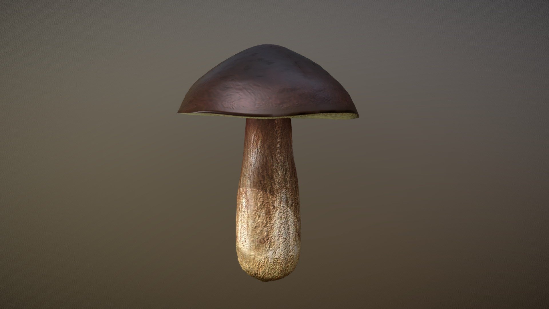Mushroom (Boletus Edulis) - 3December