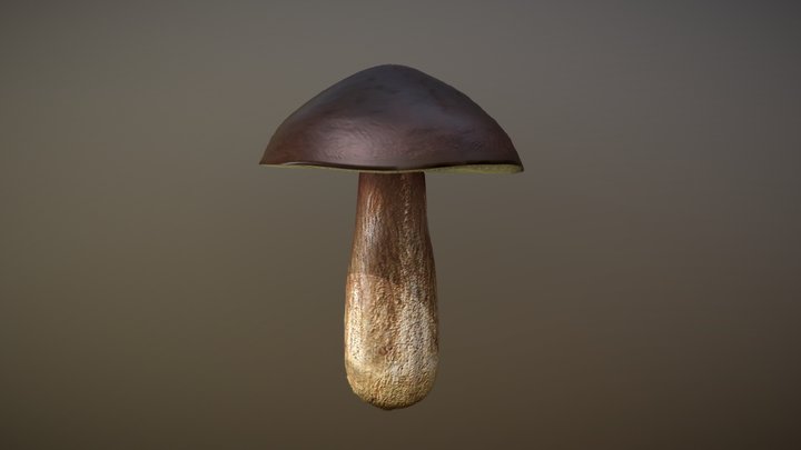 Mushroom (Boletus Edulis) - 3December – Free 3D Model STL