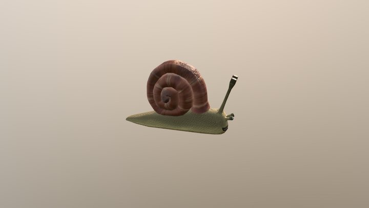 Csiga 3D Model
